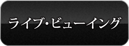 地球ゴージャスグッズ　あみ専用