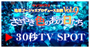 スケジュール